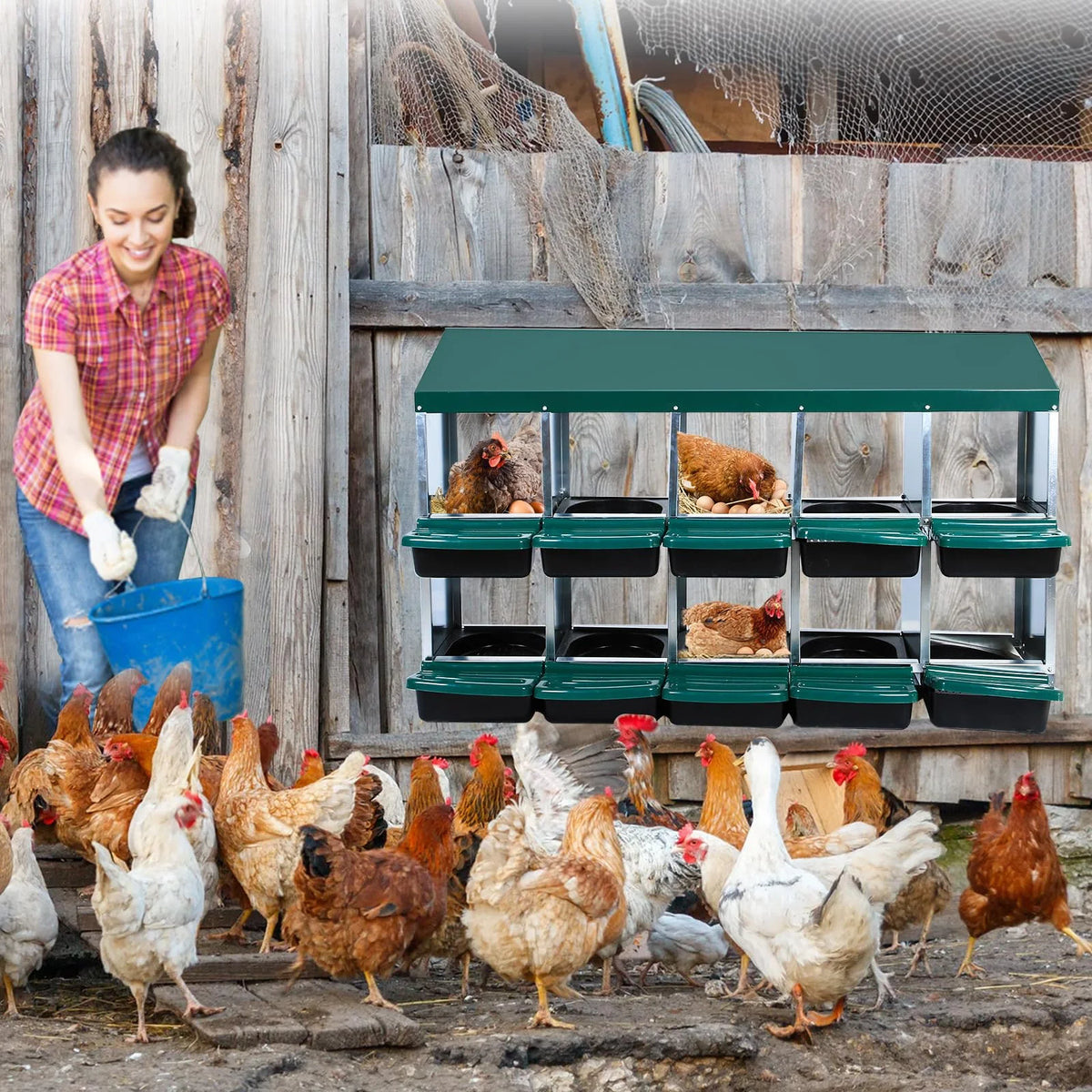 Chicken Nesting Box, 6/8/10 Compartment Nesting Box, Heavy Duty Chicken Coop Nesting Box with Removable Tray, Metal Chicken Laying Box for Chicken