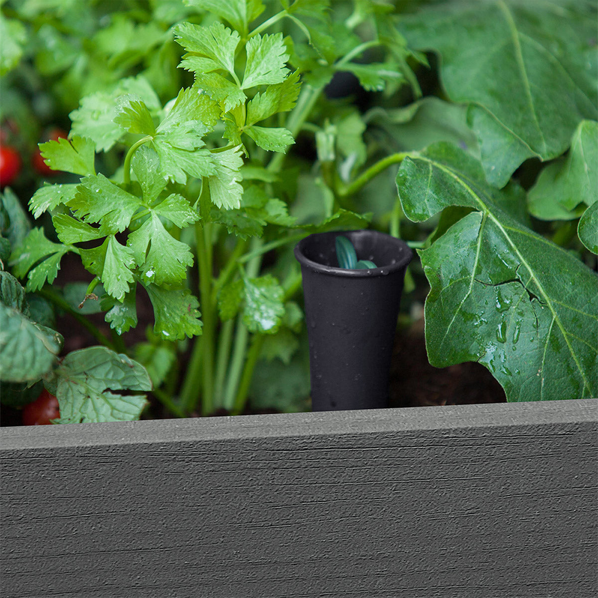 Keter Darwin 29 Gallon Raised Garden Bed and Self Watering Planter Box