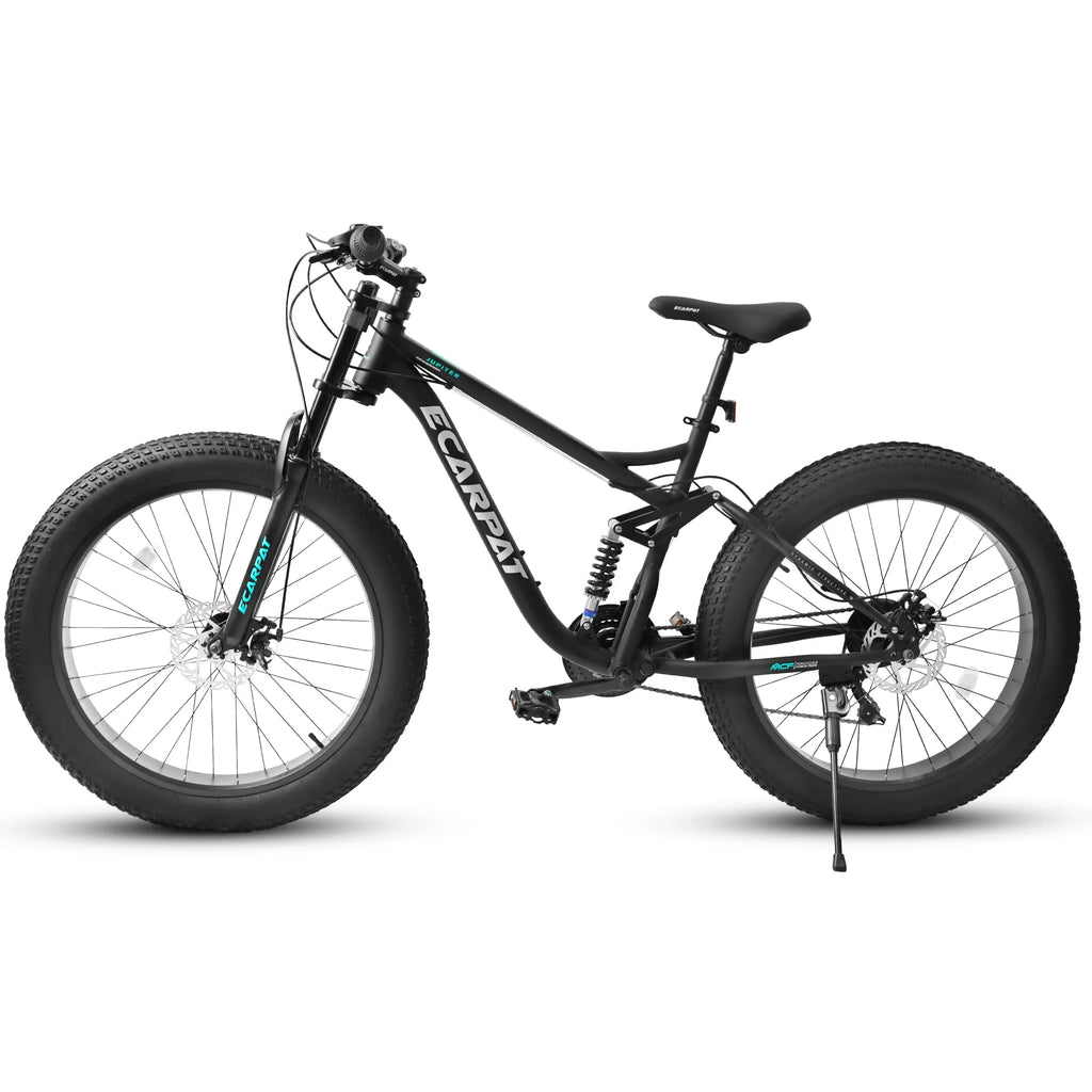 26 in Men's Fat Tire Bike,Shimano 21-Speed,Full Suspension Mountain Bike,Black