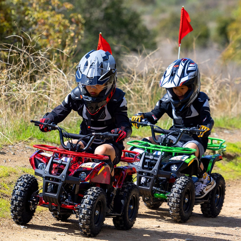 Aoemoe 500W 36V Battery-Powered Ride-On Off-Road 4-Wheeler �C 15 Mile Range, Flame