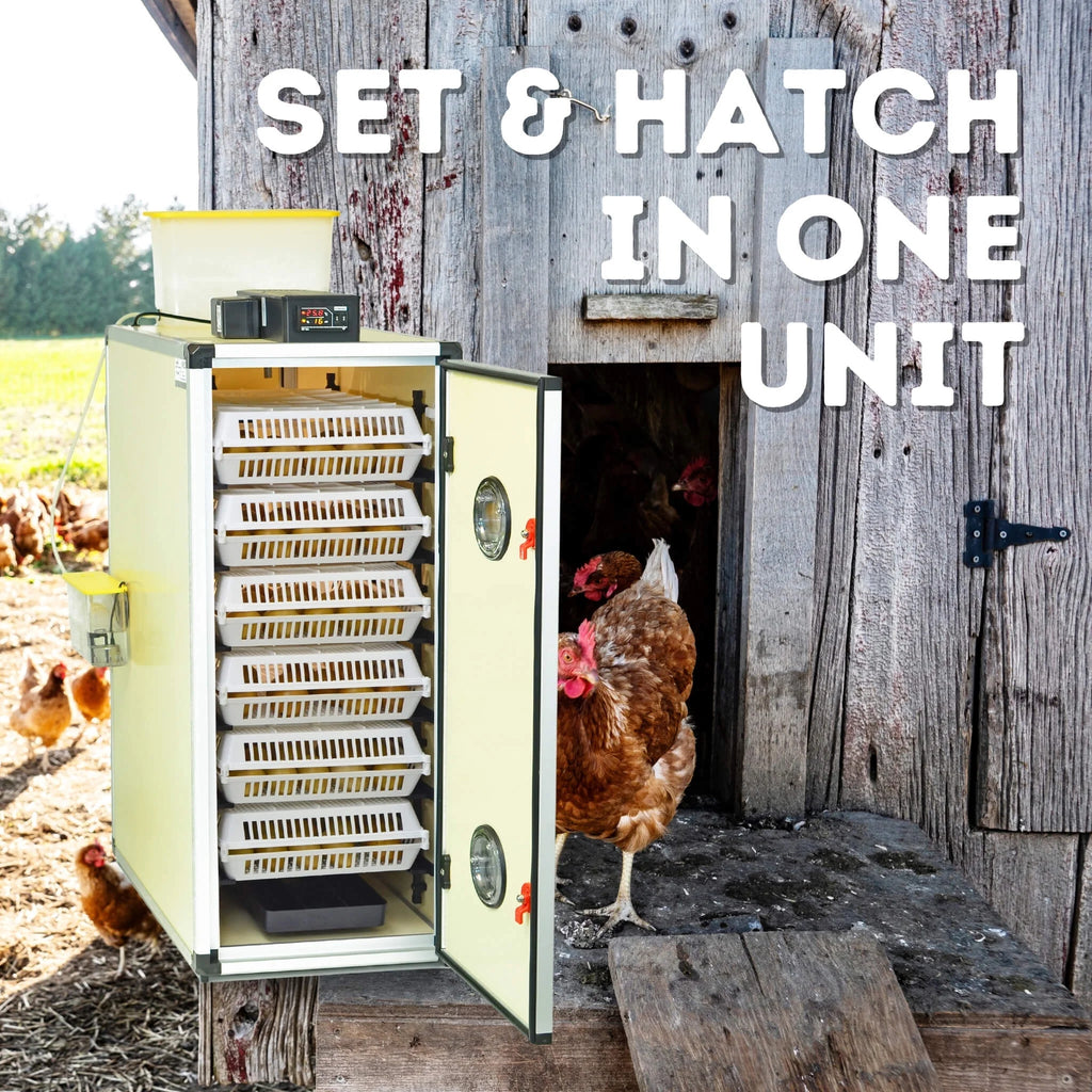 CT180SH Egg Incubator with Automatic Egg Turning & Perfect Humidity Controls, Set & Forget Design, Cabinet Incubators for Hatching Eggs, Incubate and Hatch 180 Chicken Eggs | Hatching Time