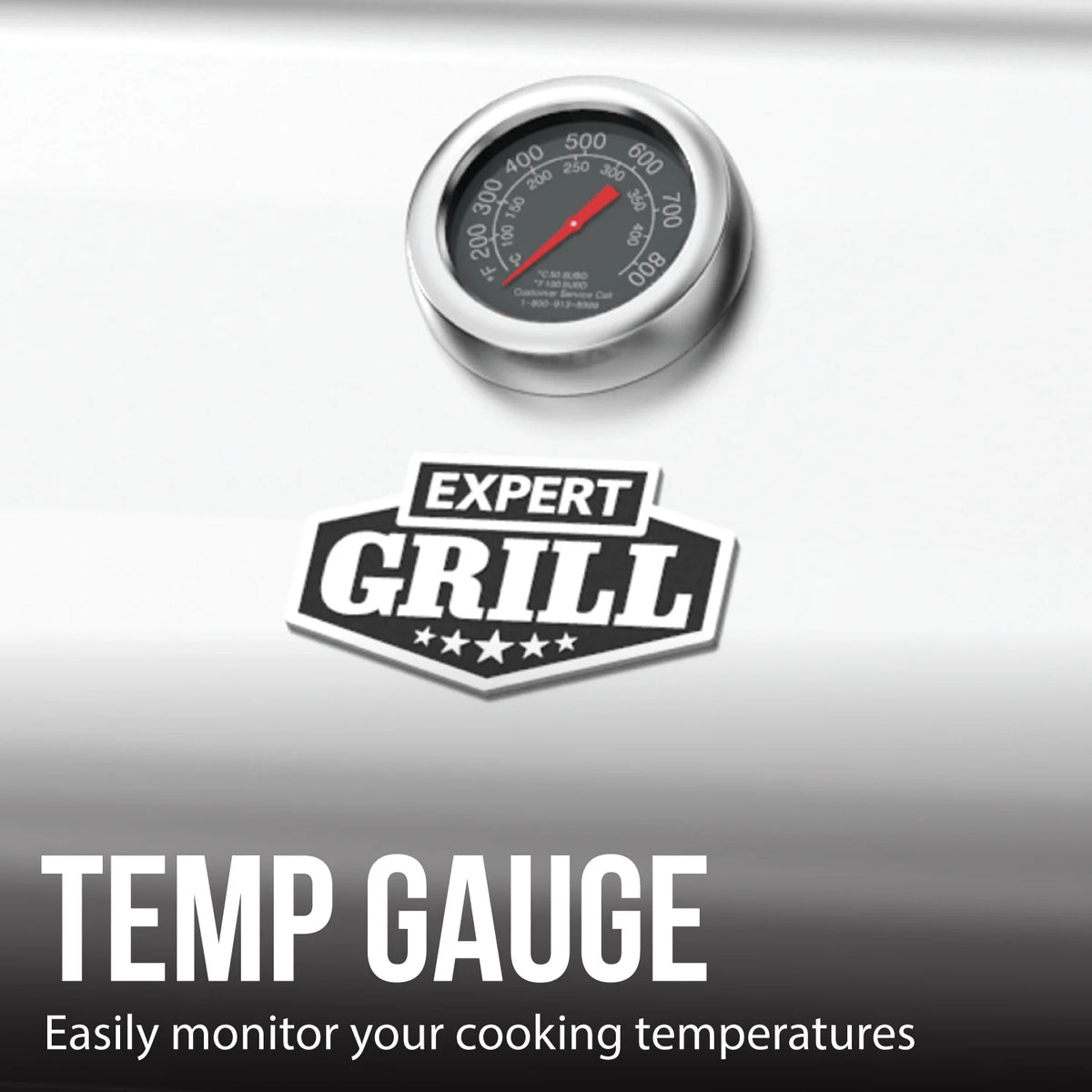 Expert Grill 5 Burner Propane Gas Grill with Side Burner