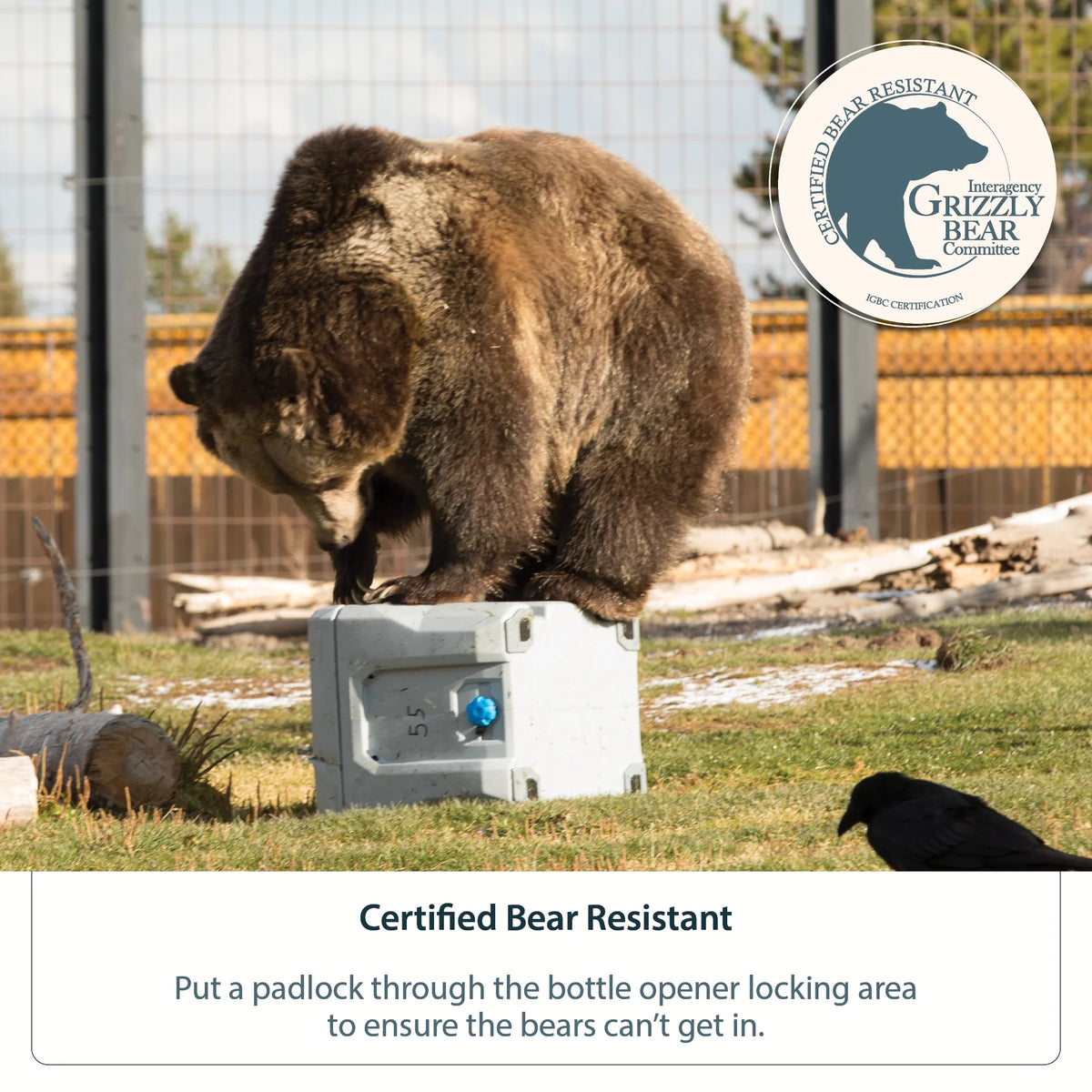 Lifetime 55 qt Bear-Resistant Camping Cooler, Premium High Performance, Ice Retention, Hard Cooler, 60 Can Capacity, Light Gray (90949)