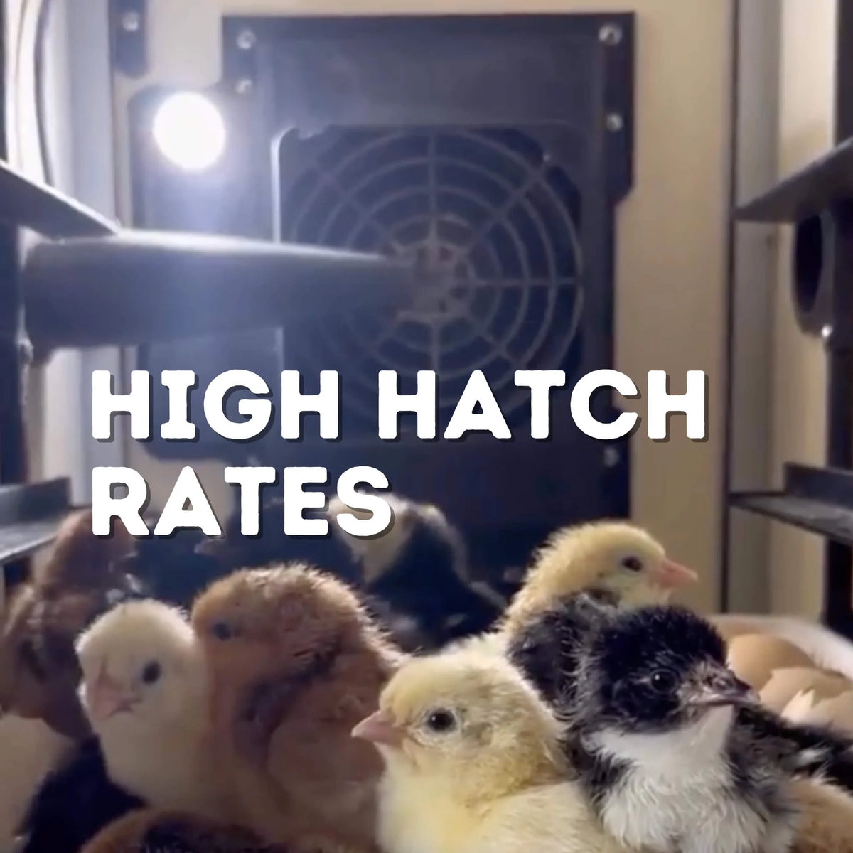 CT120SH Egg Incubator with Automatic Egg Turning & Perfect Humidity Controls, Set & Forget Design, Cabinet Incubators for Hatching Eggs, Incubate and Hatch 120 Chicken Eggs | Hatching Time