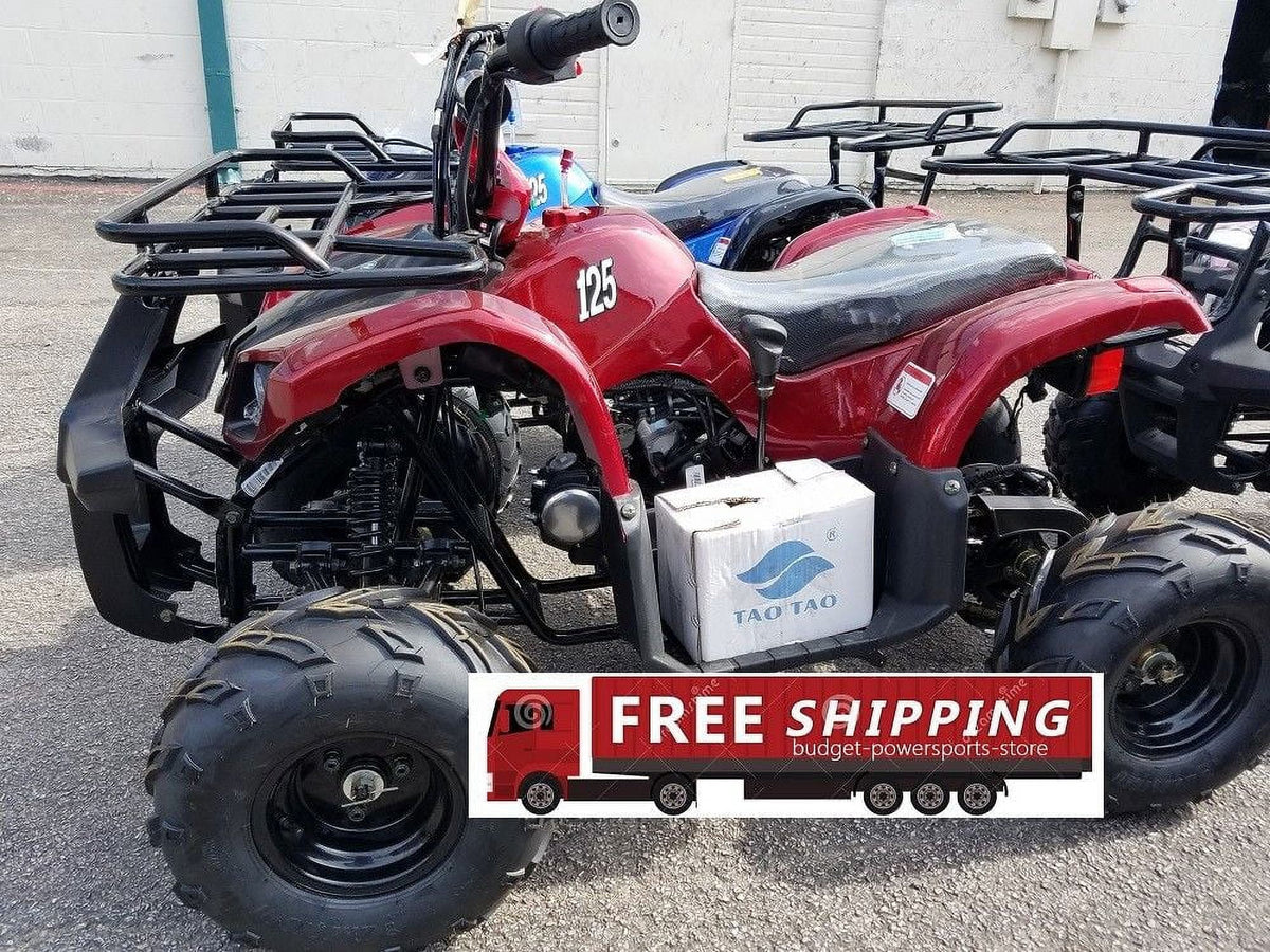 2021 New Tao Motor ATA- 1Automatic Gas All-Terrain Vehicle (ATV) With Big 16'' Tires and Reverse  - Midnight Black Color