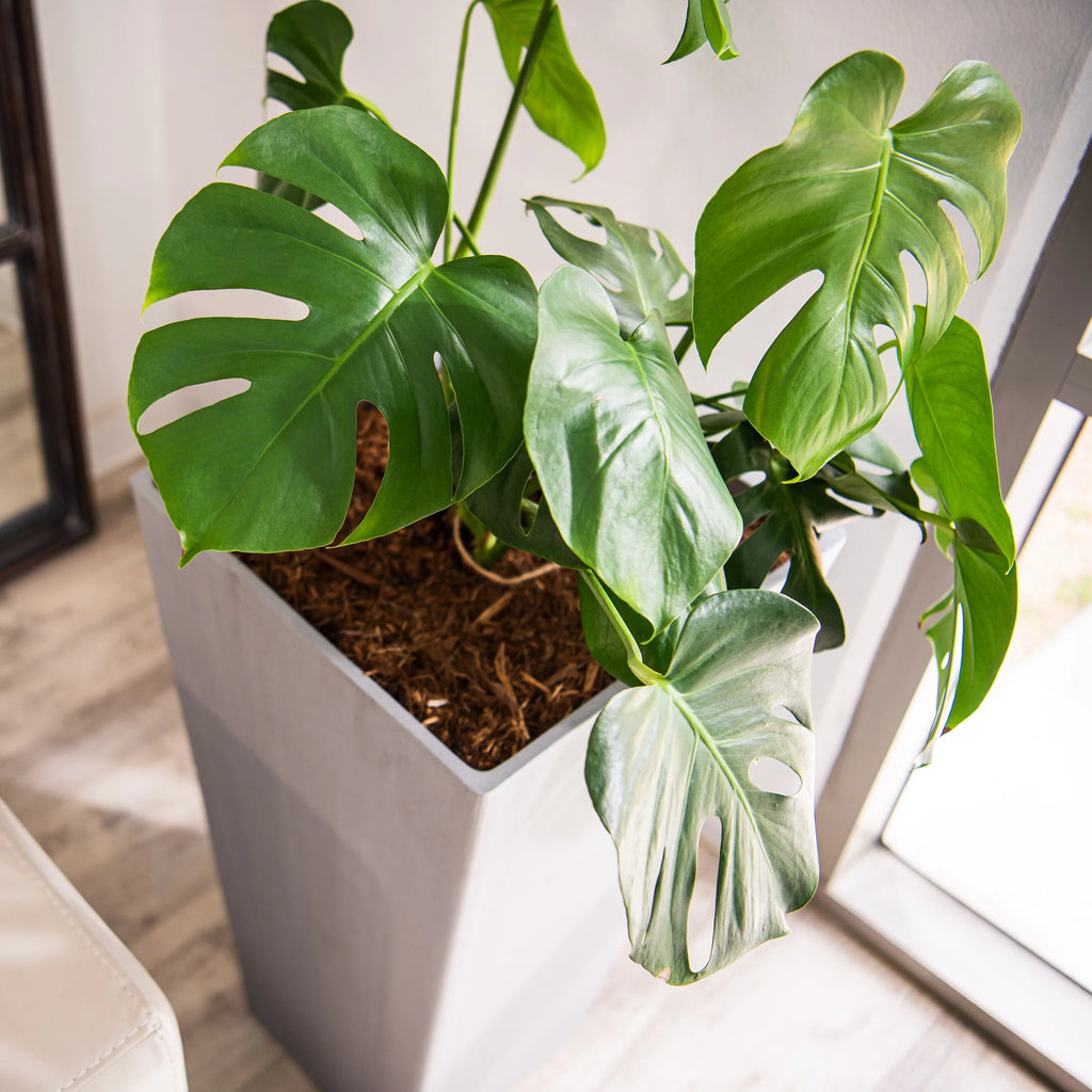 XBrand Modern 30-Inch Tall Square Planter, Modern Tapered Planter Perfect for Indoor & Outdoor Planter, Patio Décor, Black