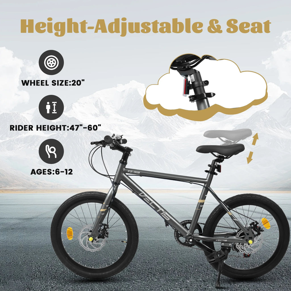 20 Inch Kids Bike for Boys Girls, 7-Speed Children Road Bike with Steel Frame and Dual Disc Brakes, Kids Road Bicycle for Ages 6-12 Years Old Birthday Gift, Silver
