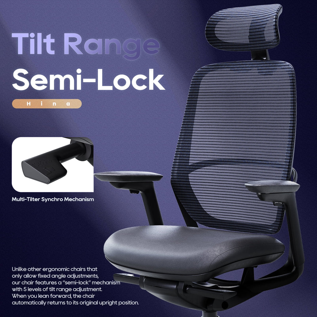 Ergonomic Office Chair, High Back Mesh Desk Chair with Adjustable Lumbar Support, Reclining Backrest, 4D Armrests, Breathable Mesh, Comfortable Computer Chair for Home Office, Work,Study
