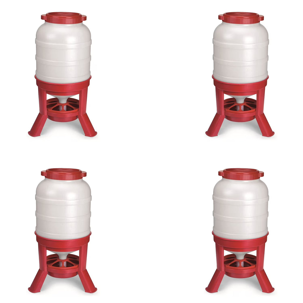 Little Giant Plastic Dome Poultry Feeder 60 Lbs.