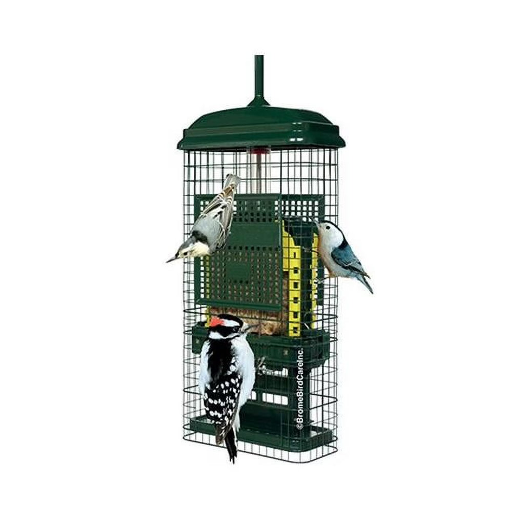 Brome Squirrel Buster Suet Feeder