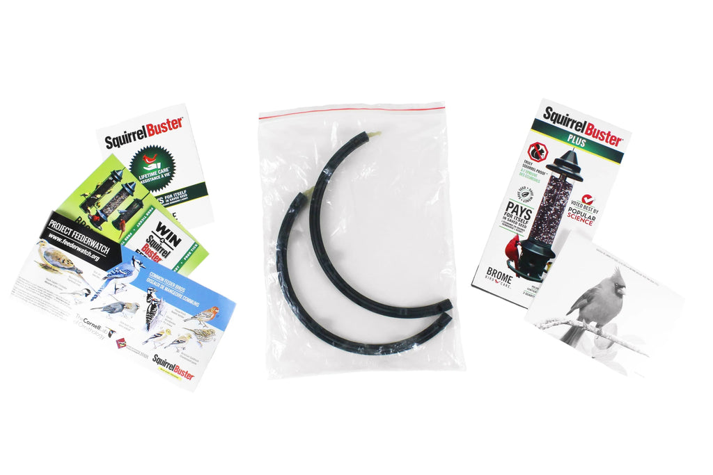 Brome Squirrel Buster Plus Bird Feeder with Cardinal Perch Ring, Squirrel Proof