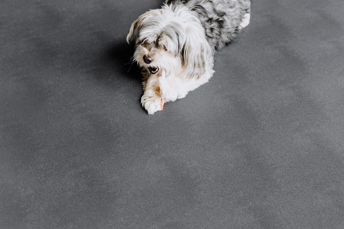 G-Floor 7.5' x 17' Vinyl Levant Pet Friendly Carpet Protector for Dogs & Cats - Midnight Black
