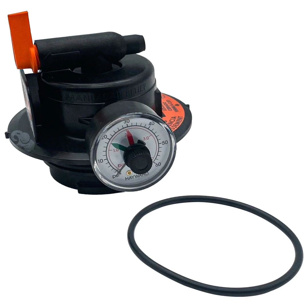 Hayward DEX2420MAR2 DE and Cartridge Filter Manual Air Relief Assembly