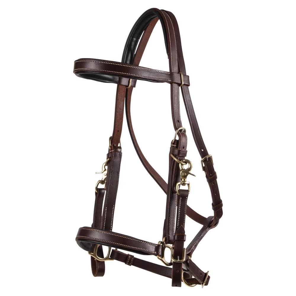Billy Royal Deluxe Trail Halter for Horses Bridle Combo | Color Dark Oil