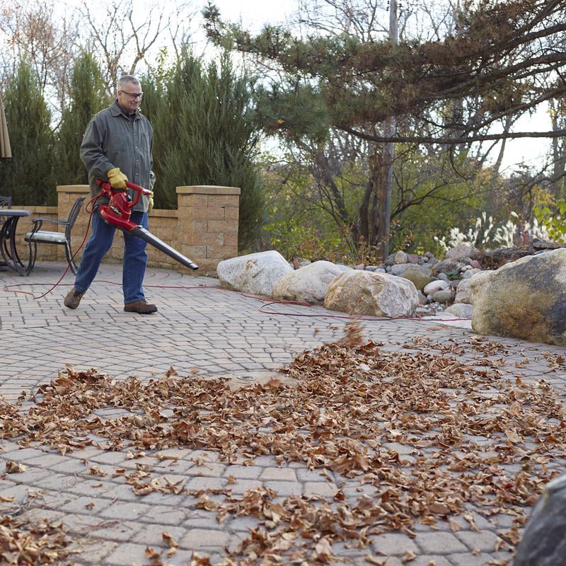 Toro Ultra Electric Handheld Leaf Blower/Vacuum