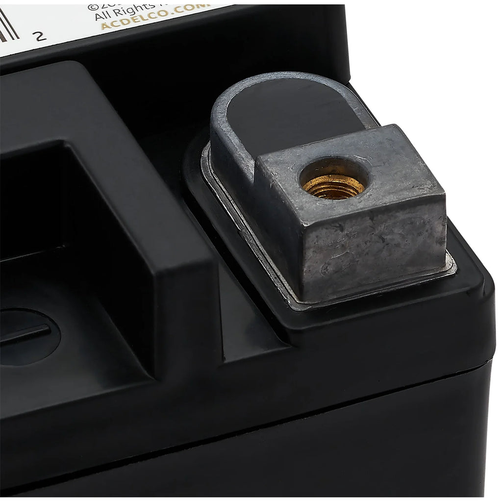 EverStart Platinum BOXED AGM Battery, Group Size AUX 14 12 Volt, 200 CCA