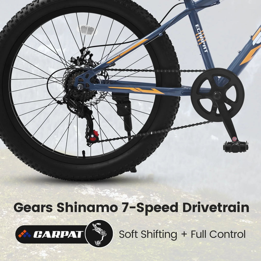 24 inch Mountain Bike with Fat Tires, Kids Bike with Disc Brakes & Suspension