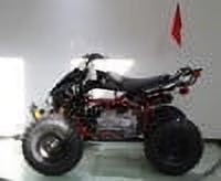 RPS 125cc ATV Rider 8 Big Tire