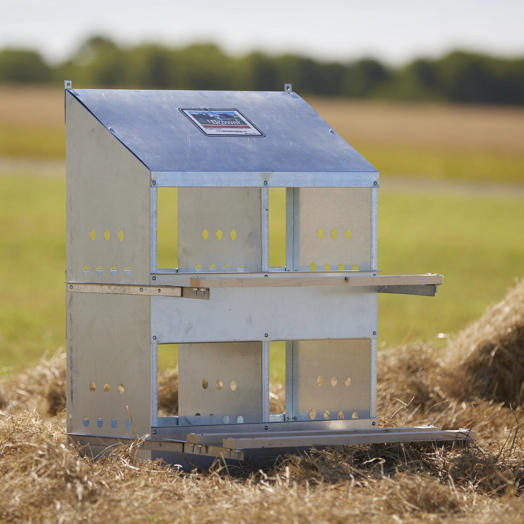 Brower Galvanized Steel 6 Hole 30 Bird Poultry Nest Chicken Brooding Box