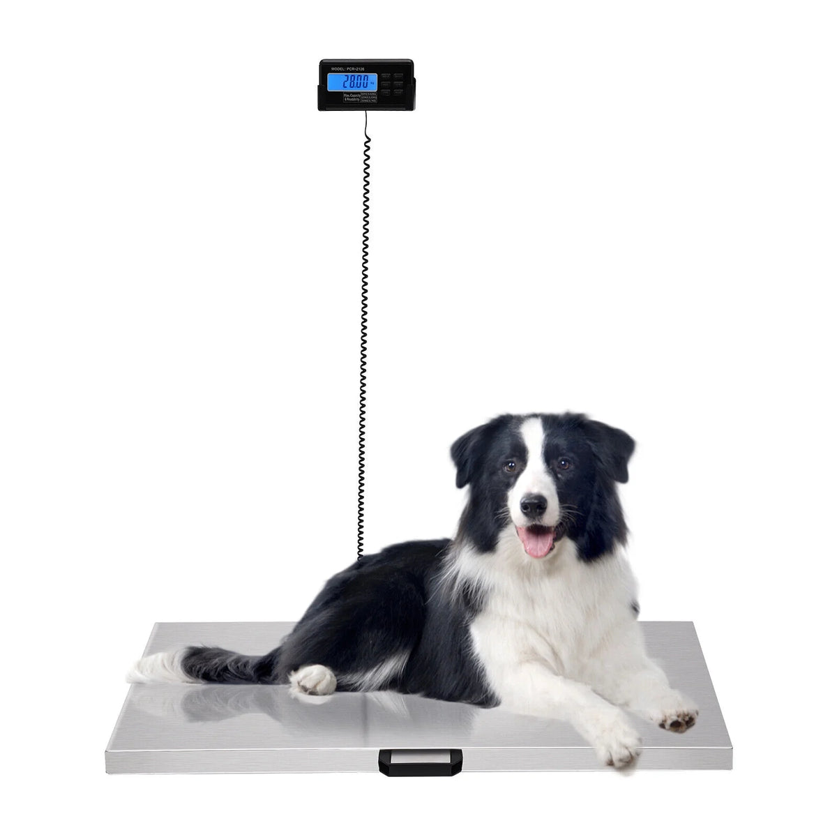 Digital Scale Floor Livestock Vet 440Lbs Stainless Steel Platform Shipping Scale