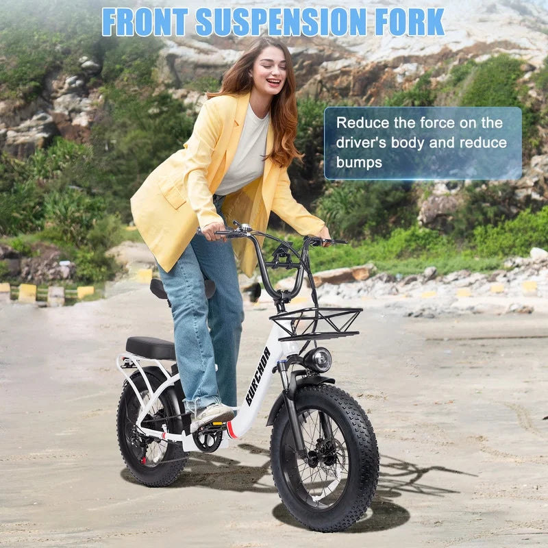 Electric Bike for Adults 20'', 800W UL2849 48V 32AH 110Miles Long Range Ebike up to 30mph Full Suspension E-mountain bike 4.0 Fat Tire Off-road, 2 Seats outdoor Dual Disc Brakes Electric bicycle