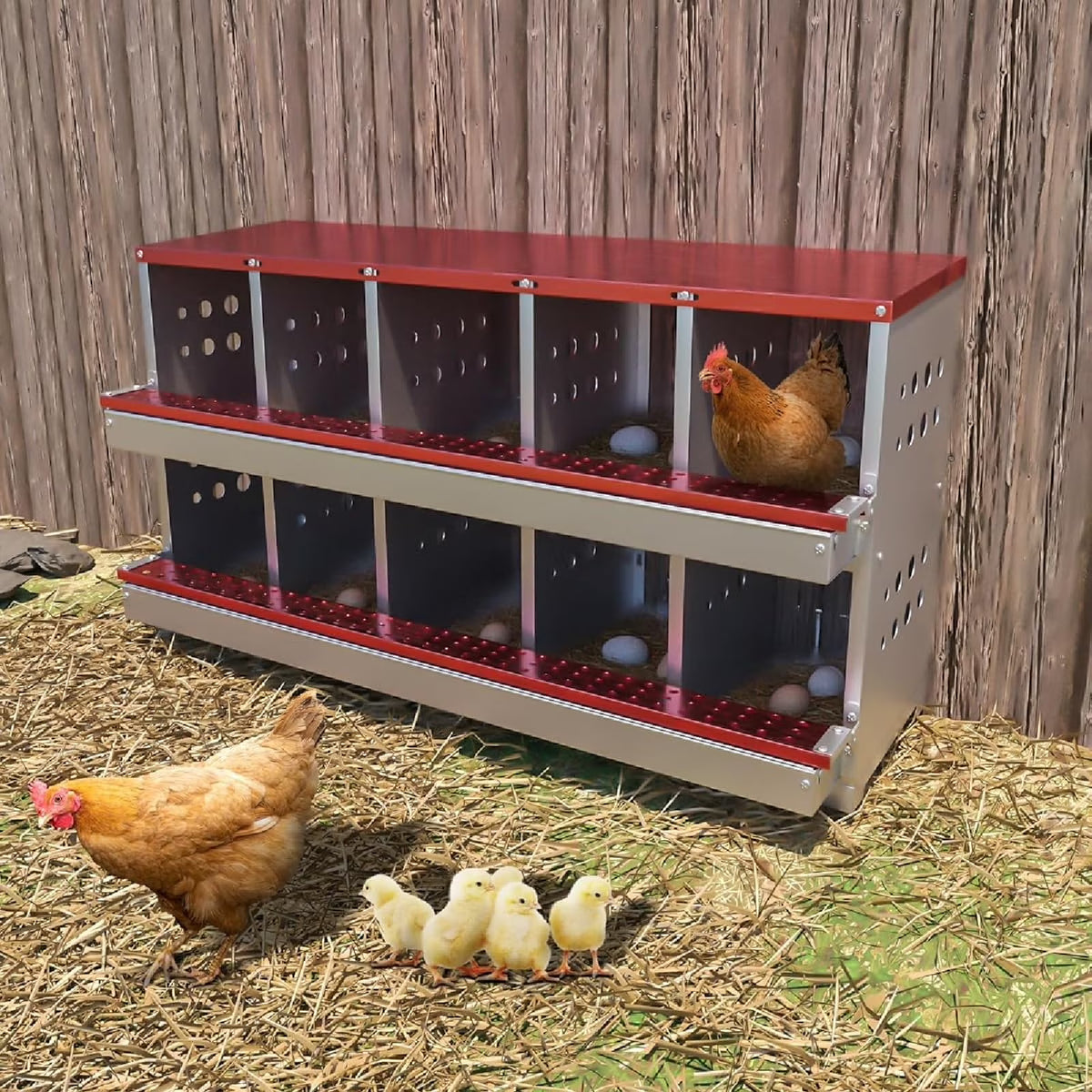 Metal Chicken Nesting Box for Laying Eggs, Rustproof Wall-mountable Roll Away Chicken Laying Boxes for Hens, Waterproof, Ventilated with Perch, 8 Compartments, Green
