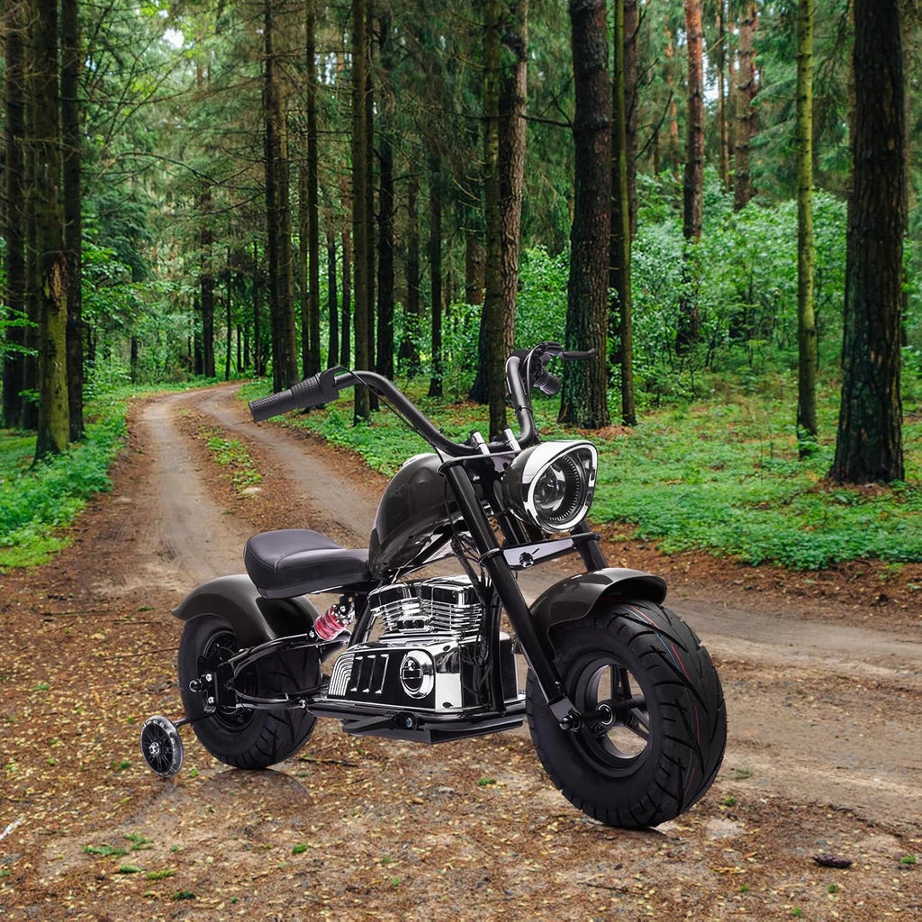 Pinypikaka 36V Ride On Off-Road Motorcycle Electric Dirt Bike for Teens, 350W Brushless Motor, 16.5MPH with Music, Spring Suspension, LED Light, Leather Seat for 14+ Years Old Kids Max Load 176lbs
