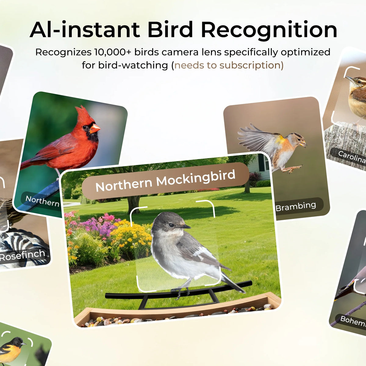 TT Nature Bird Feeder with Camera, AI Identify 10,000+ Species, Auto Capture, Real-Time Notifications, Upgraded for Bird Watching with Solar Panel, Perfect Gift for Bird Lovers